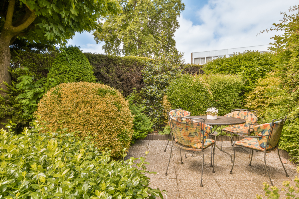 patio garden