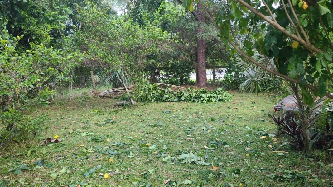 Storm damage caused to the garden of a Florida home.