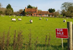 farm for sale