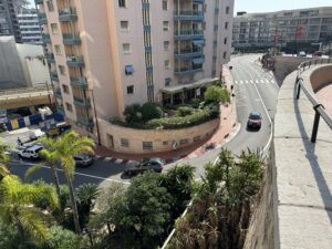 Monte Carlo