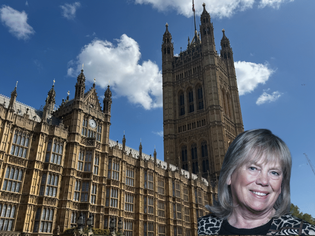House of Lords Baroness Scott of Bybrook