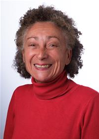 Cllr Michele Gibson, Chair of Spelthorne's Borough Council's Planning Committee