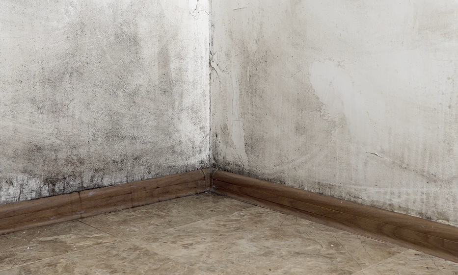Mould