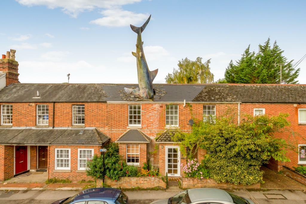 The Shark House