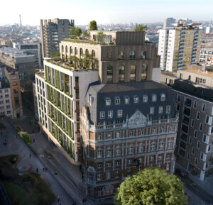 Exterior Hummingbird