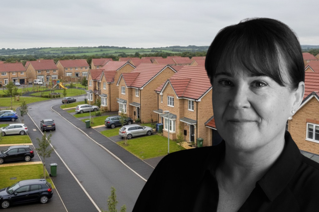 Sián Hemming-Metcalfe, Property Inspect