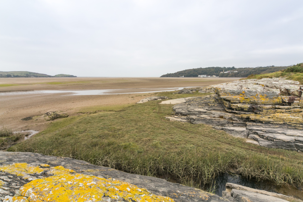 Dwyryd Estuary, YG.jpg