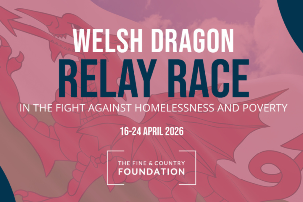 Fine & Country Welsh Dragon Flyer