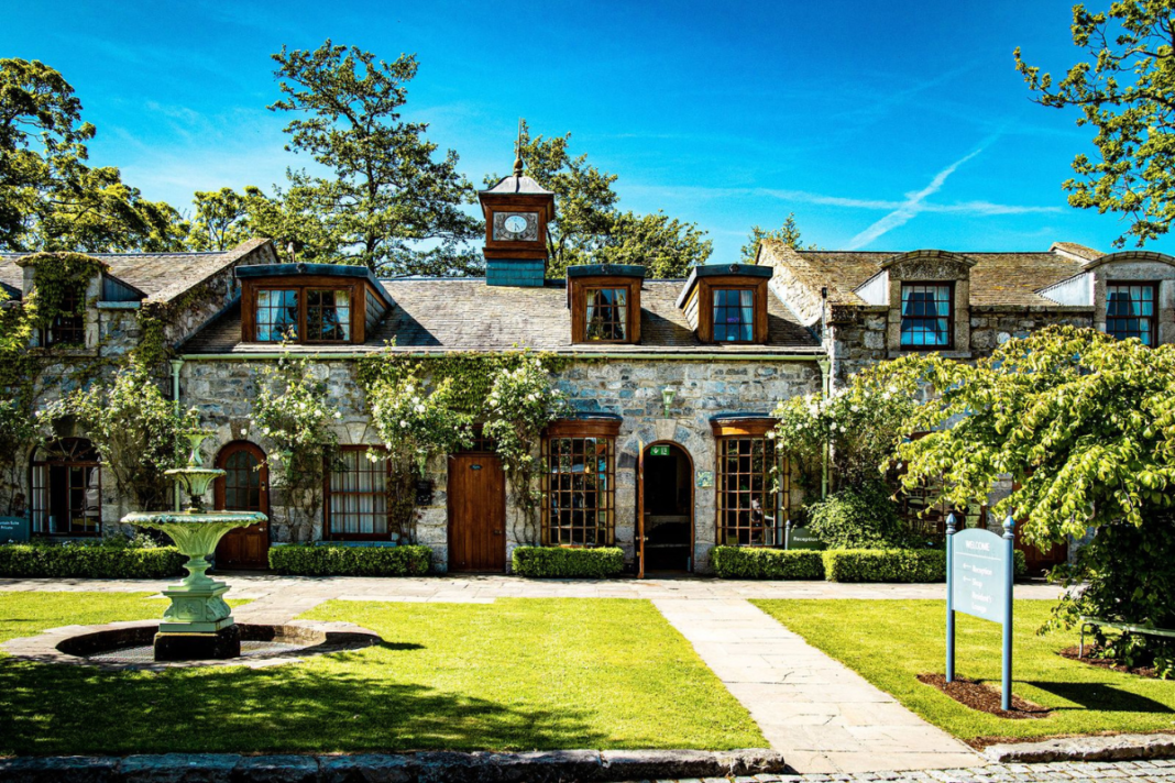 Entire Irish estate village hits market for €20m Village at Lyons