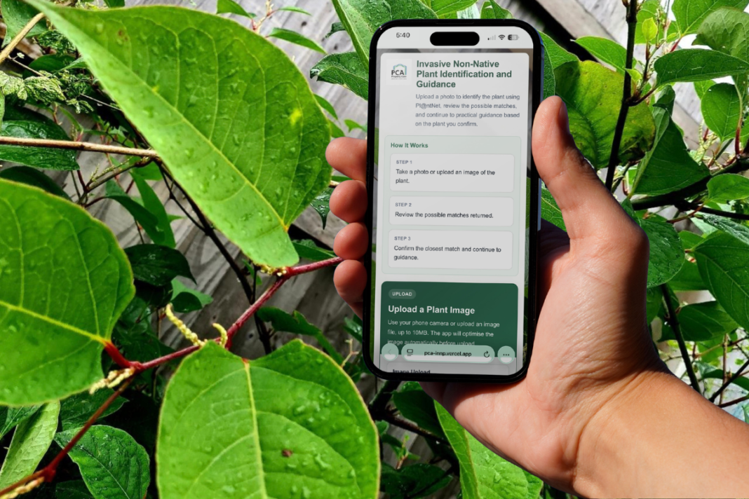 Japanese Knotweed Property Care Association New App