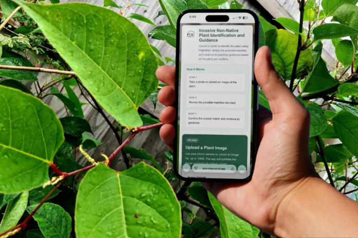 Japanese Knotweed Property Care Association New App