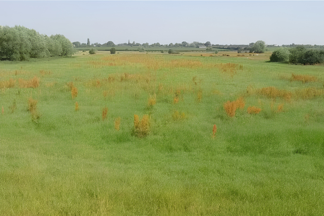 Land listings surge as more plots come to market Taunton, Somerset TA6